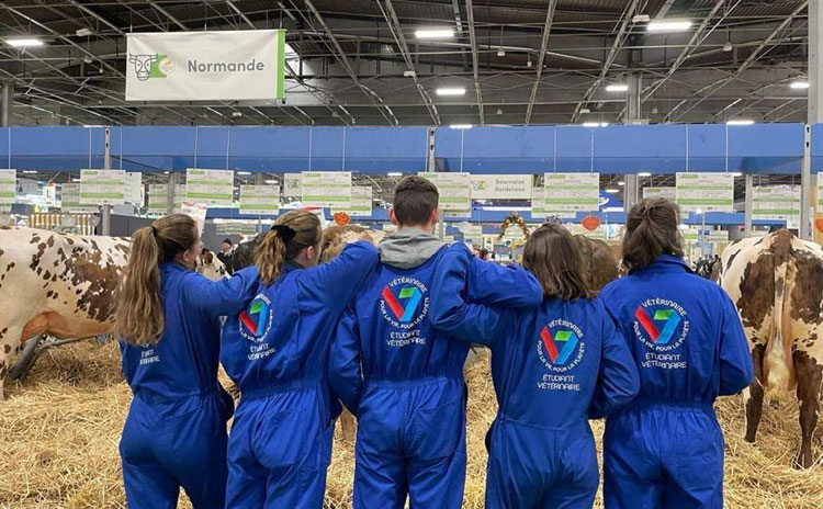 Un groupe d’étudiants vétérinaires d’Oniris, en blouses bleues, devant des bovins dans un salon agricole.